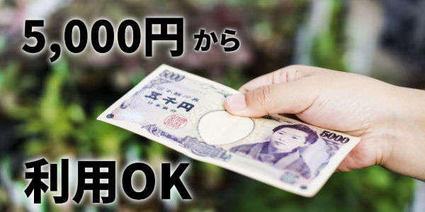 5000円から利用可能