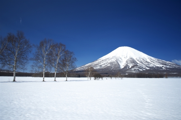 札幌の現金化はインターネットの業者がオススメ