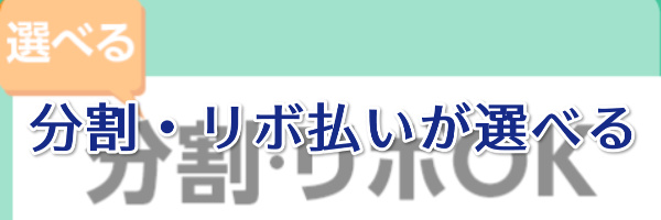 分割・リボ払いも選べる